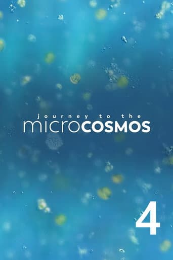 Poster for Season 4