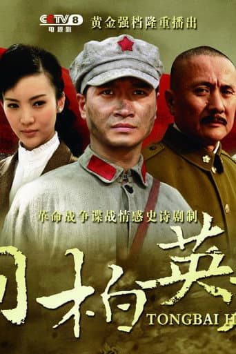Poster for 桐柏英雄
