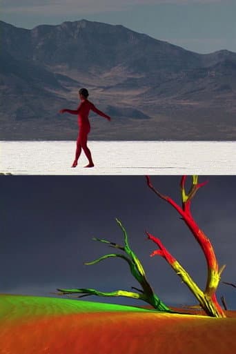 Poster for bodies of the desert