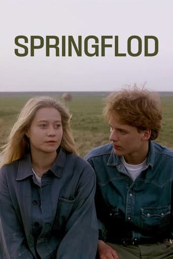 Poster for Spring Tide