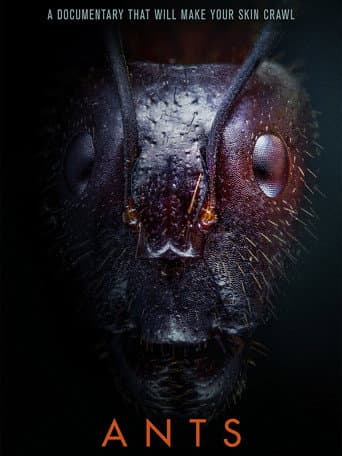 Poster for Ants