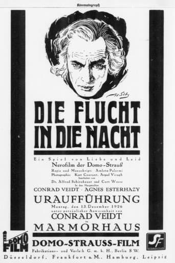 Poster for The Flight in the Night