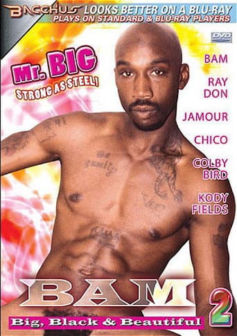 Poster for Bam: Big, Black & Beautiful 2