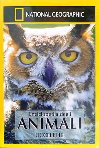 Poster for Owls: Silent Hunters