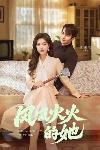 Poster for 风风火火的她