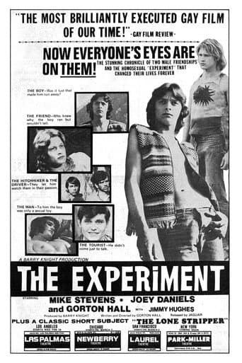 Poster for The Experiment