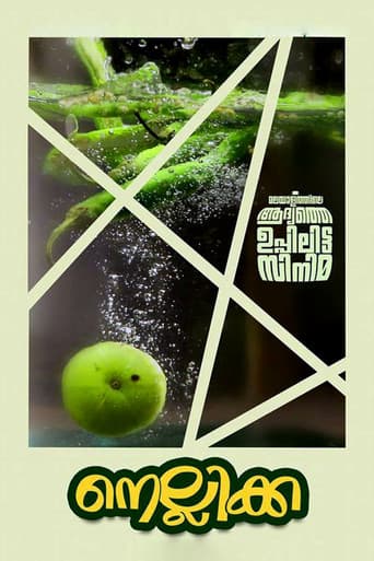 Poster for Nellikka