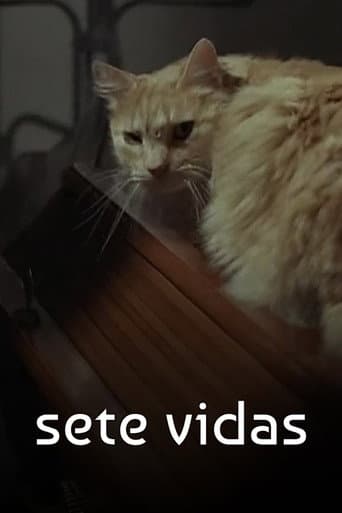 Poster for Sete Vidas