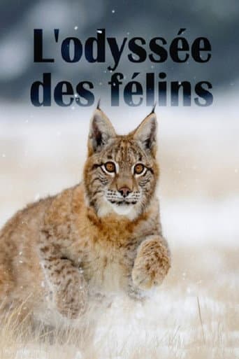 Poster for The Odyssey Of Felines