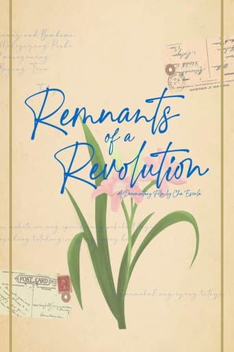 Poster for Remnants of a Revolution