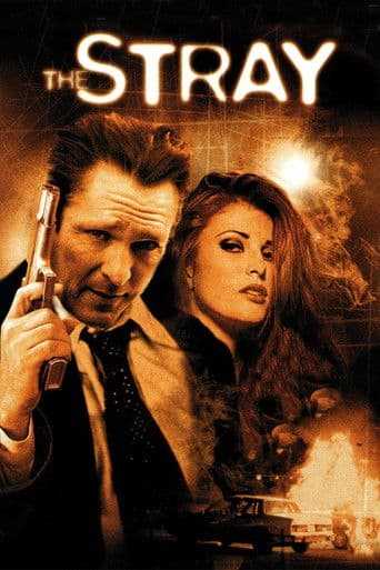 Poster for The Stray