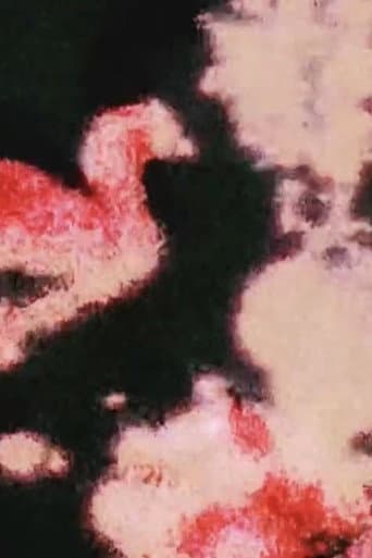 Poster for Hejira, Fragmented
