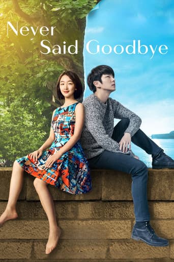 Poster for Never Said Goodbye