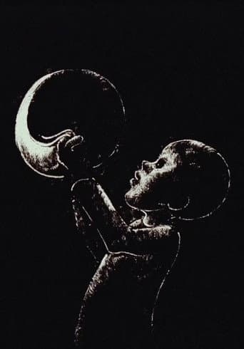Poster for The Boy Who Stole the Moon