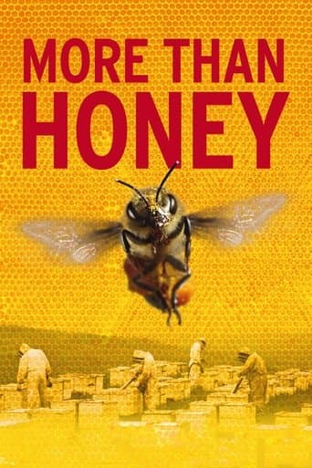 Poster for More Than Honey