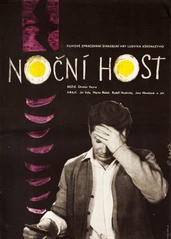 Poster for The Night Guest