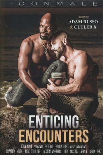 Poster for Enticing Encounters