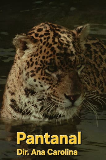 Poster for Pantanal