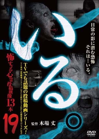 Poster for 「Iru.」~ Kowasugiru Tōkō Eizō 13-hon ~ Vol.19