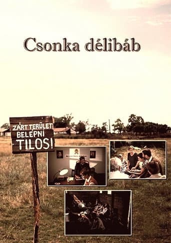 Poster for Csonka délibáb