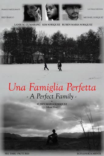 Poster for A Perfect Family