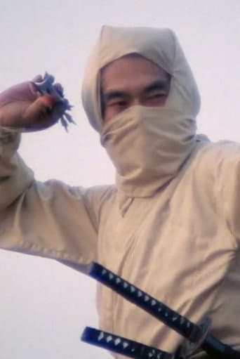 Poster for Re-Enter the 'New York Ninja'