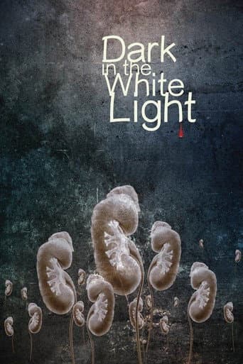 Poster for Dark in the White Light