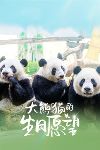 Poster for 大熊猫的生日愿望