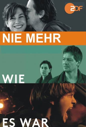 Poster for Nie mehr wie es war