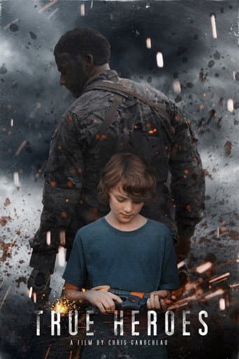 Poster for True Heroes