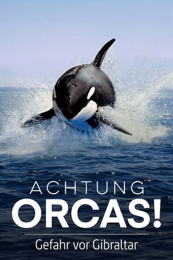 Poster for Watch Out for Orcas! Danger Off Gibraltar?