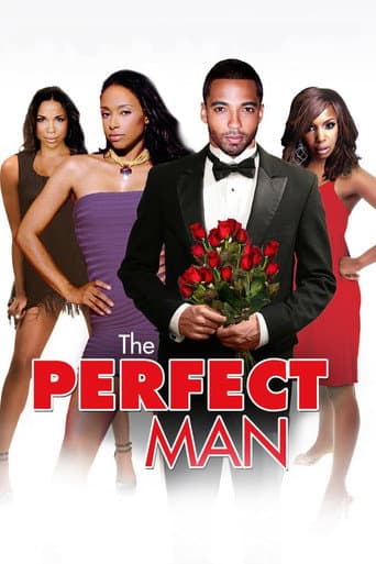 Poster for The Perfect Man