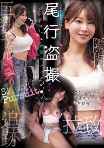 Poster for 尾行盗撮 巨乳ギャル媚薬キメセクレ×プ