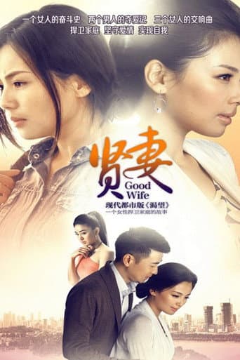 Poster for Good Wife