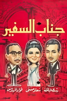 Poster for His Excellency, The Ambassador