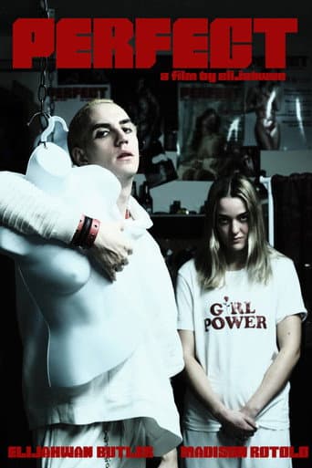 Poster for Perfect