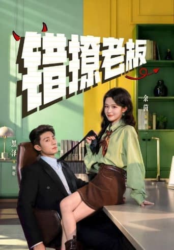 Poster for 错撩老板