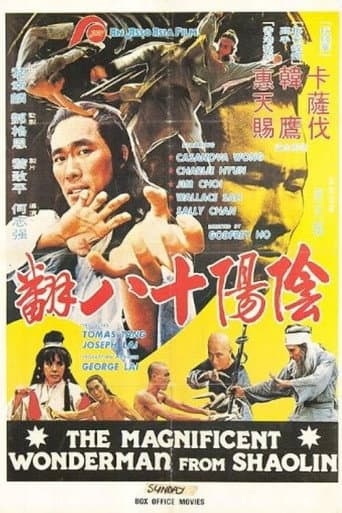 Poster for Magnificent Wonderman