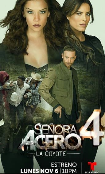 Poster for Season 4