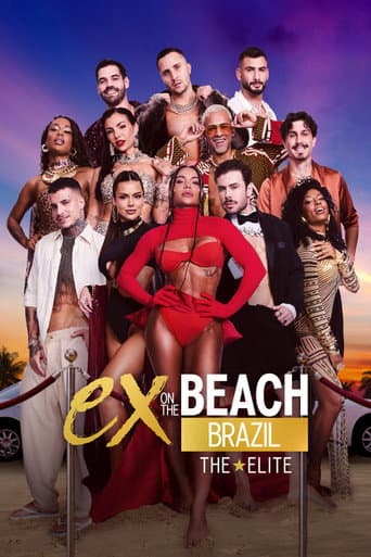 Poster for De Férias com o Ex Diretoria