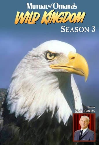 Poster for Season 3