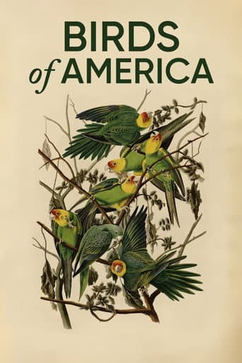 Poster for Birds of America