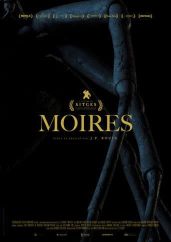 Poster for Moires