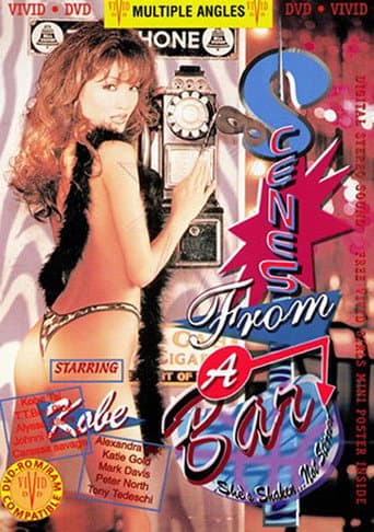 Poster for Scenes from a Bar