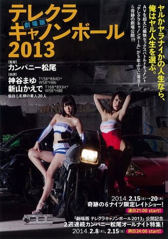 Poster for The Sex Cannon Ball Run 2013