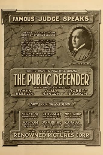 Poster for The Public Defender
