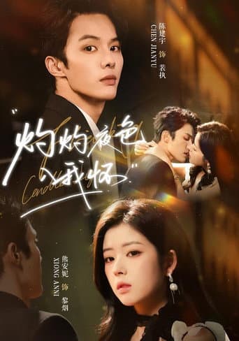 Poster for 灼灼夜色入我怀