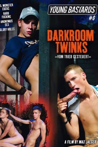Poster for Young Bastards 6: Darkroom Twinks
