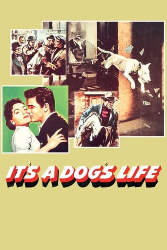 Poster for It's a Dog's Life