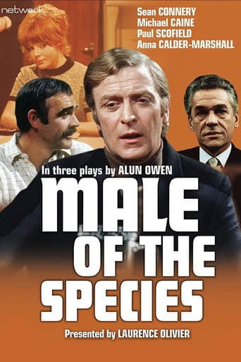 Poster for Miniseries